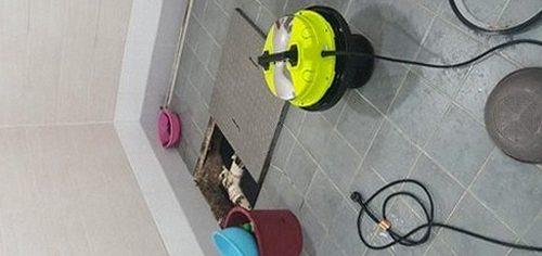 발산1동 하수구막힘 발산동 하수구막힘 아파트 변기 기저귀 걸림을 직접 겪어 보니